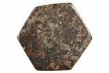 Stony Chondrite Cabochon ( g) - Meteorite #238205-1